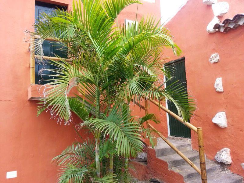 Apartmento Tabares Tejina Extérieur photo